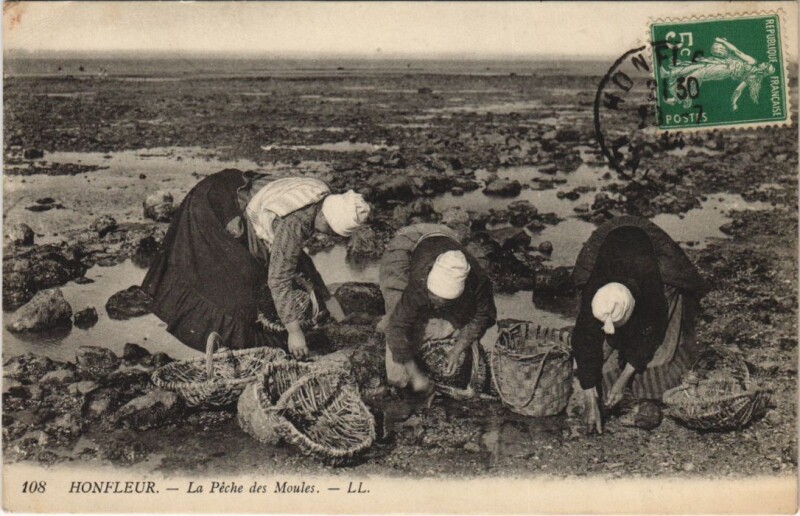 Carte postale ancienne Honfleur La Peche des Moules à Honfleur