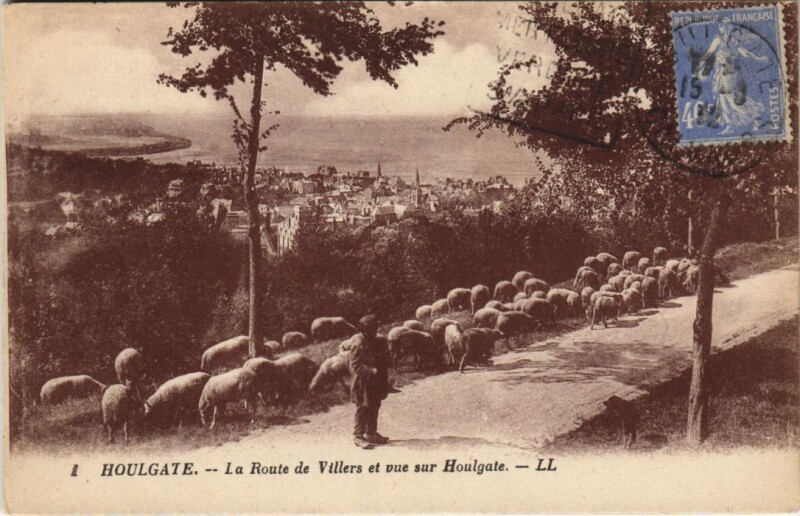 Carte postale ancienne Houlgate La Route de Villers et Vue sur Houlgate à Houlgate