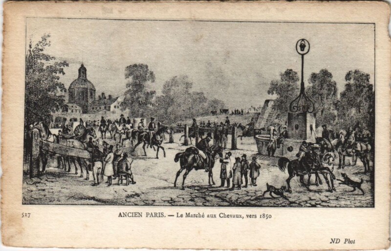 Carte postale ancienne Le Marché aux Chevaux, vers 1850 à Paris 5e