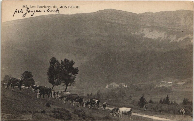 Carte postale ancienne Les Rochers du Mont-D'Or