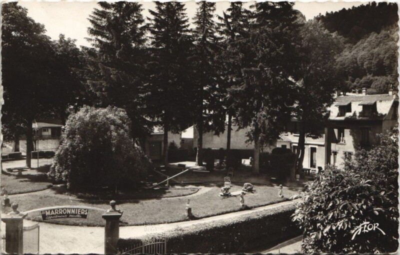 Carte postale ancienne Le Mont-Dore-Villa les Marronniers à Mont-Dore