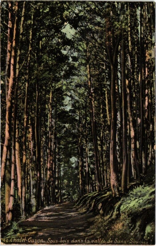 Carte postale ancienne Chatel-Guyon - Sous bois dans la Vallée de Sans-Souci à Châtel-Guyon