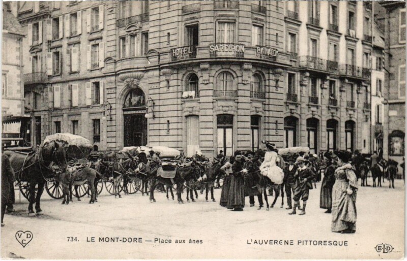 Carte postale ancienne Le Mont-Dore - Place aux anes à Mont-Dore