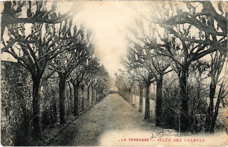 Carte postale ancienne Chamalieres - Allée des Tilleuls à Chamalières