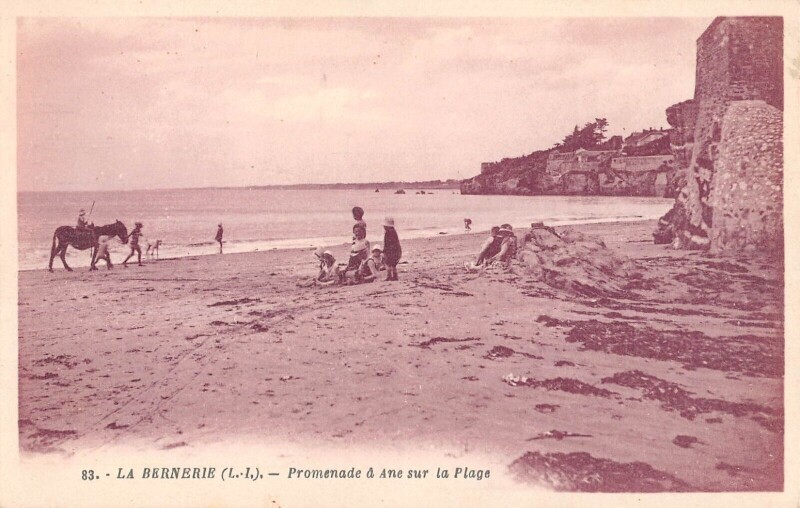 Carte postale ancienne La Bernerie - Promenade A Ane Sur La Plage