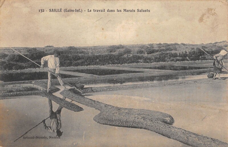 Carte postale ancienne Saille - Le Travail Dans Les Marais Salants