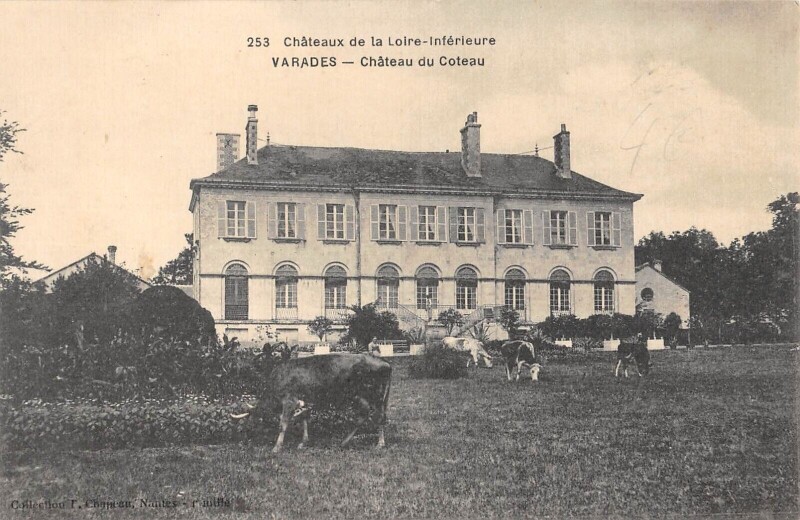 Carte postale ancienne Varades - Chateau Du Coteau - Vaches