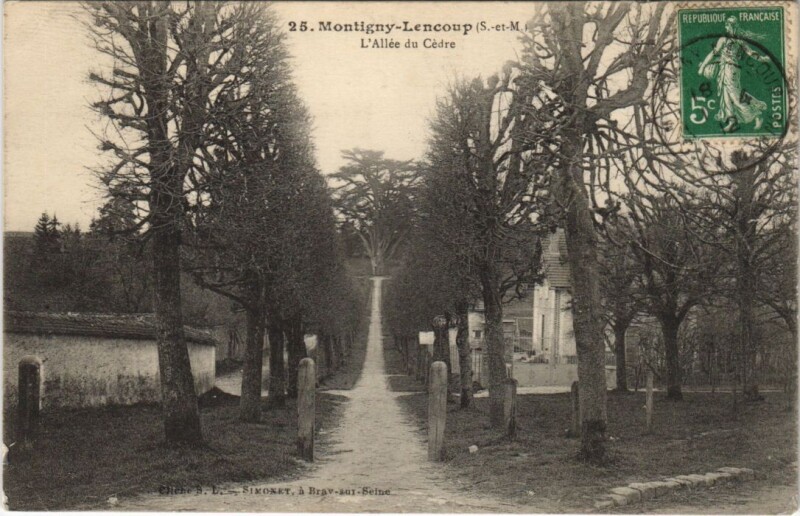 Carte postale ancienne Montigny-Lencoup Grande-Rue L'Allée à Montigny-Lencoup