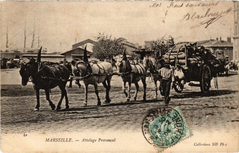 Carte postale ancienne Marseille - Attelage Provencal à Marseille