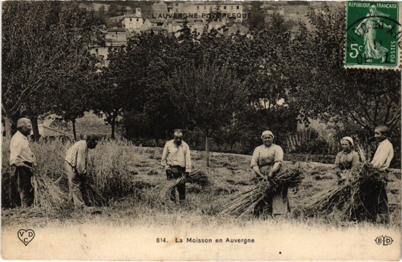 Carte postale ancienne Auvergne - La Moisson