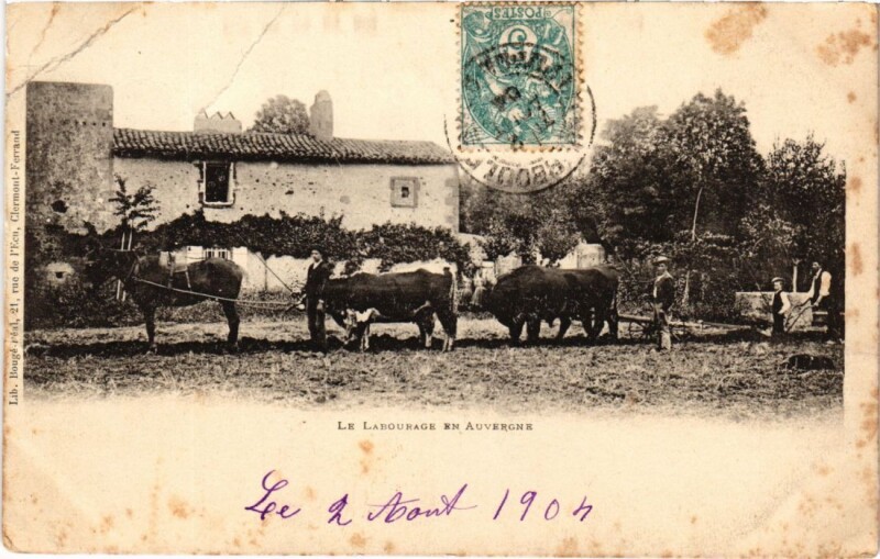 Carte postale ancienne Auvergne - Le labourage