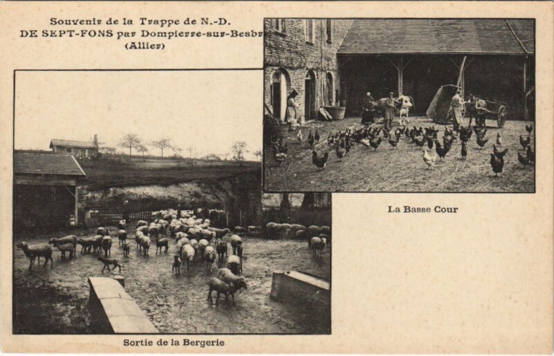 Carte postale ancienne Dompierre-Sur-Besbre - La Basse cour sortie de la bergerie à Dompierre-sur-Besbre
