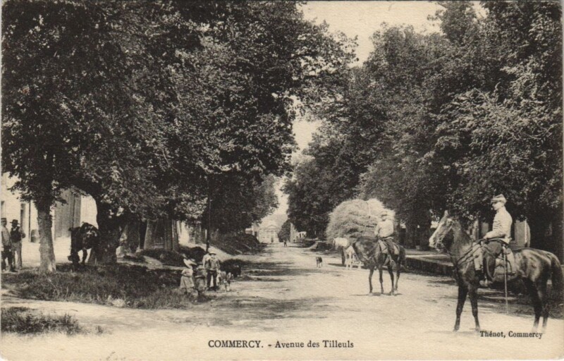 Carte postale ancienne Commercy - Avenue des Tilleuls à Commercy