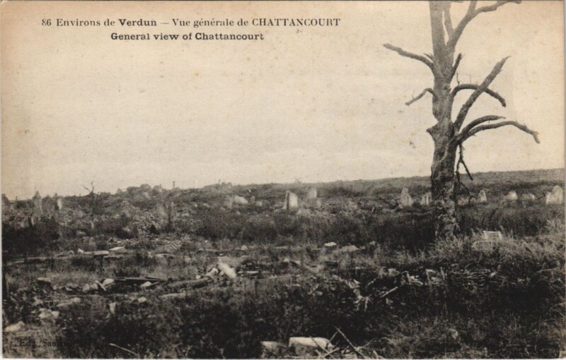 Carte postale ancienne Environs de Verdun - Vue generale à Verdun