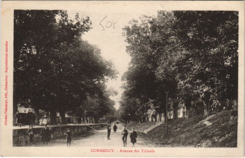 Carte postale ancienne Commercy Avenue des Tillenls à Commercy