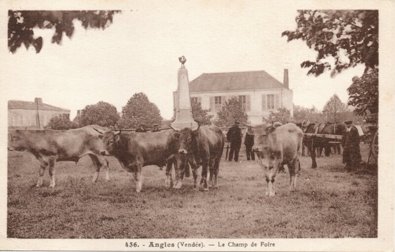 Carte postale ancienne Le Champ de Foire à Angles
