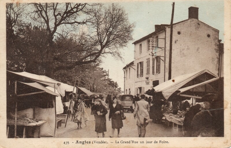 Carte postale ancienne La Grand'Rue un jour de Foire à Angles