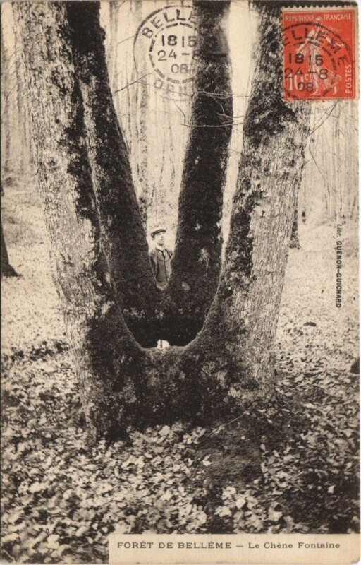 Carte postale ancienne Belleme-Le Chéne Fontaine