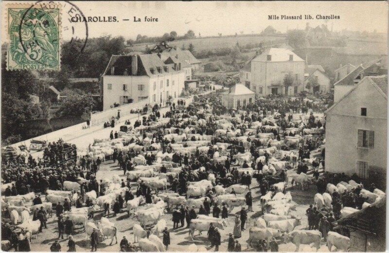 Carte postale ancienne Charolles La Foire