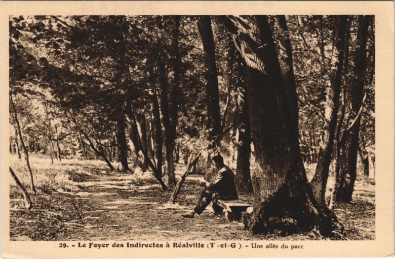 Carte postale ancienne Realville Une allee du parc France