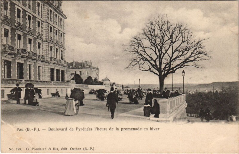 Carte postale ancienne Pau - Boulevard de Pyrenées l'heure de la promenade à Pau