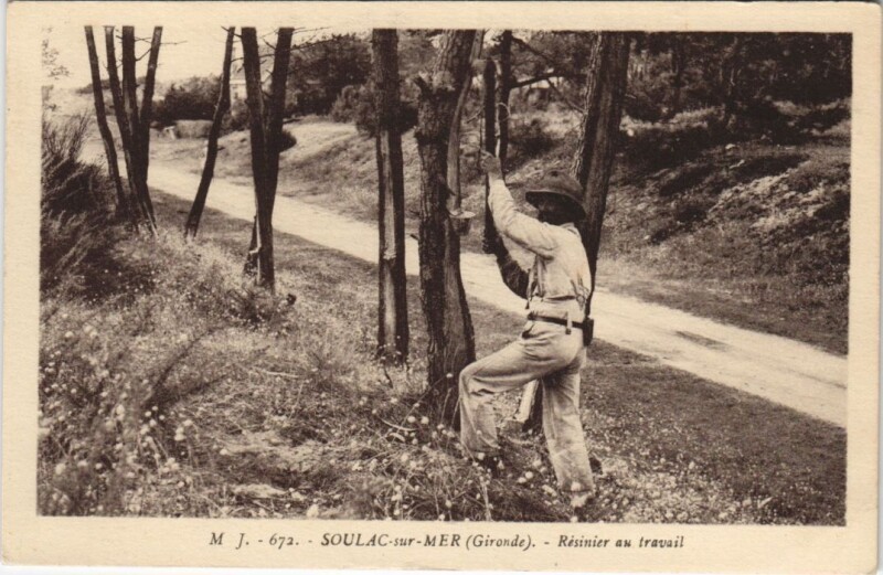 Carte postale ancienne Soulac-sur-Mer-Résinier au travail à Soulac-sur-Mer