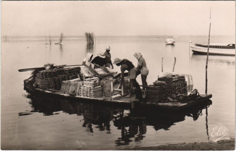 Carte postale ancienne Bassin d'Arcachon-Travaux Ostréicoles-Le détroquage des Huitres à Arcachon