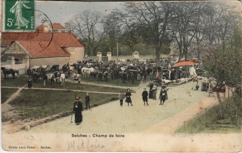 Carte postale ancienne Seiches Champ de foire