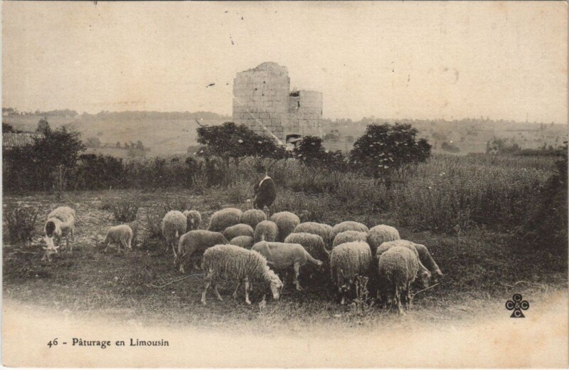 Carte postale ancienne Paturage en Limousin