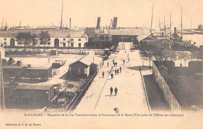 Carte postale ancienne Saint Nazaire - Magasins De La Cie Transatlantique Et Panorama Rade à Saint-Nazaire