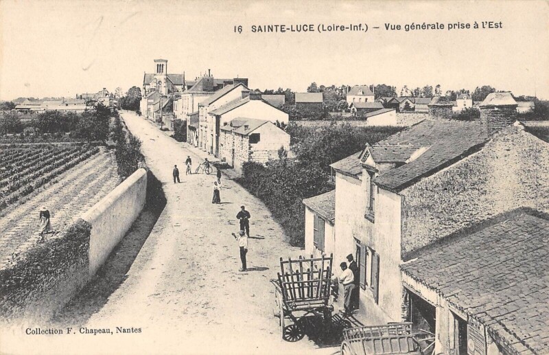 Carte postale ancienne Sainte Luce - Vue Generale Prise A L'Est