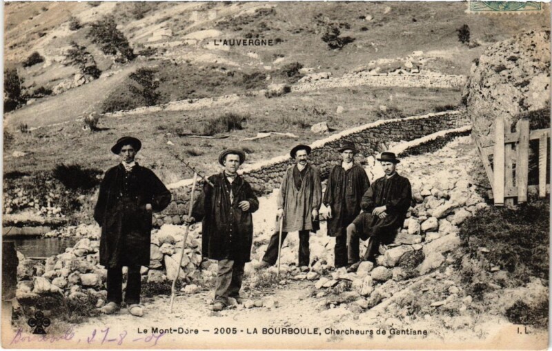 Carte postale ancienne La Bourboule - Chercheurs de la Gentiane à La Bourboule
