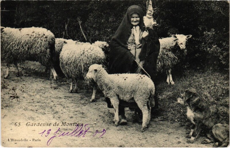 Carte postale ancienne Auvergne - Gardeuse de Moutons