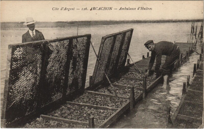 Carte postale ancienne Arcachon-Ambulance d'Huitres à Arcachon