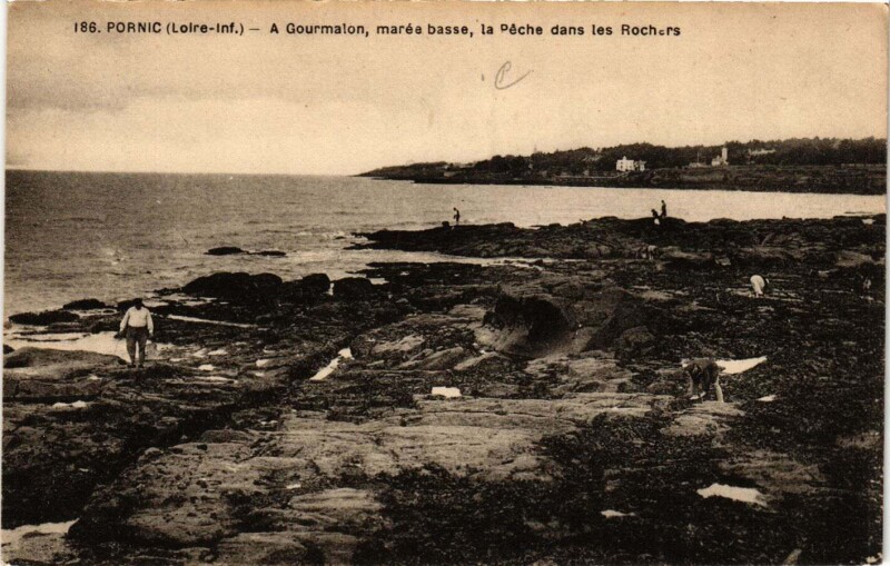 Carte postale ancienne Pornic - A Gourmalon marée basse la Peche dans les à Pornic