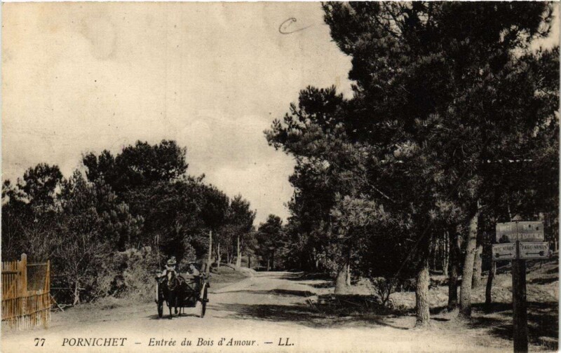 Carte postale ancienne Pornichet - Entrée du Bois d'Amour à Pornichet