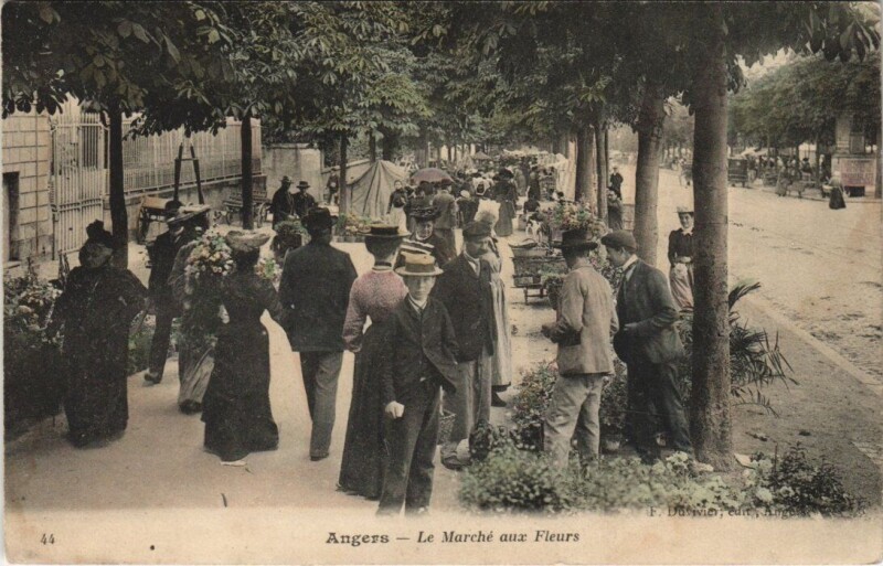 Carte postale ancienne Angers-Le Marche aux Fleurs à Angers