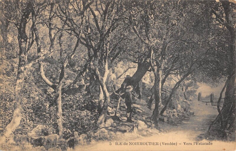 Carte postale ancienne Ile De Noirmoutier - Vers L'Estacade