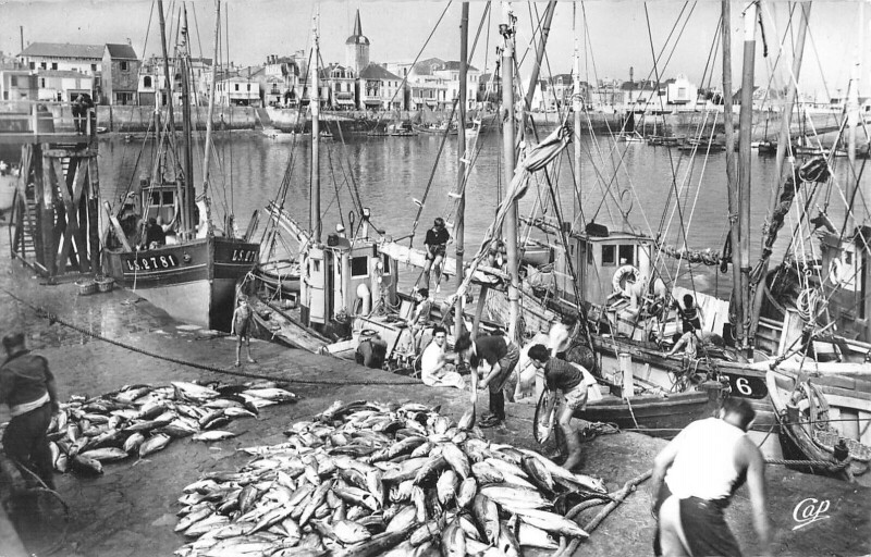 Carte postale ancienne Les Sables D'Olonne - Le Port - Debarquement Du Thon aux Sables-d'Olonne