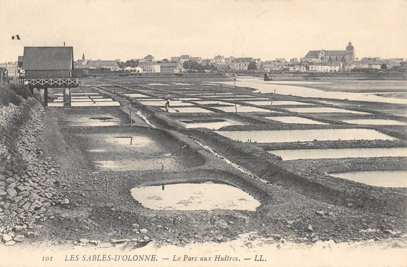Carte postale ancienne Les Sables D'Olonne - Le Parc Aux Huitres aux Sables-d'Olonne
