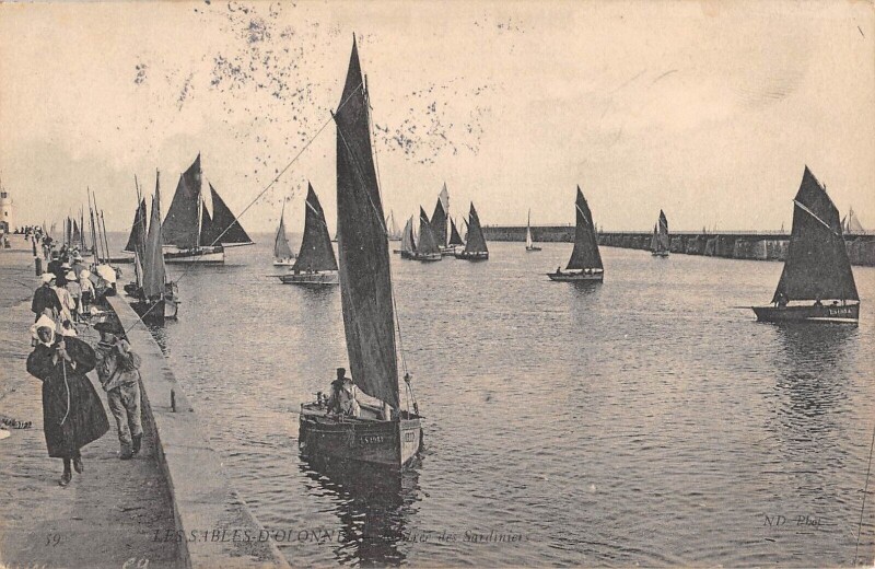 Carte postale ancienne Les Sables D'Olonne - Rentree Des Sardiniers aux Sables-d'Olonne