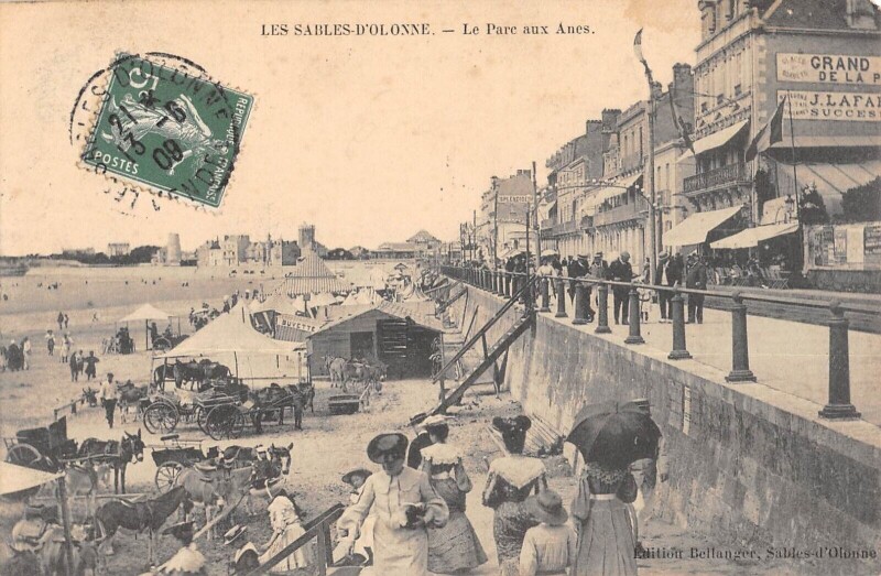 Carte postale ancienne Les Sables D'Olonne - Le Parc Aux Anes aux Sables-d'Olonne