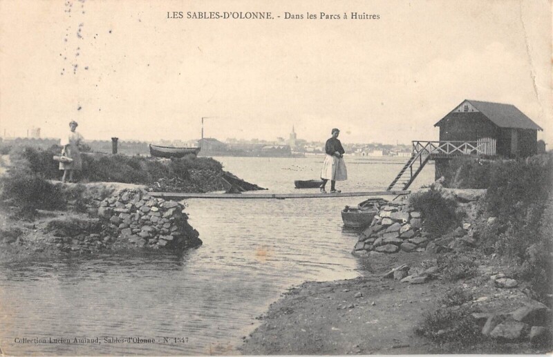 Carte postale ancienne Les Sables D'Olonne - Dans Les Parcs A Huitres aux Sables-d'Olonne
