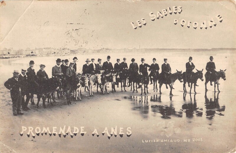 Carte postale ancienne Les Sables D'Olonne - Promande A Anes aux Sables-d'Olonne