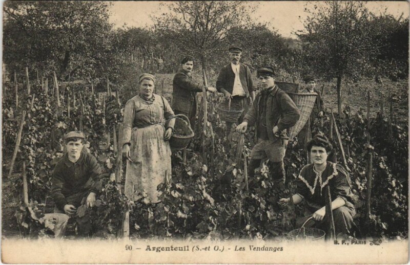 Carte postale ancienne Argenteuil Les Vendanges à Argenteuil