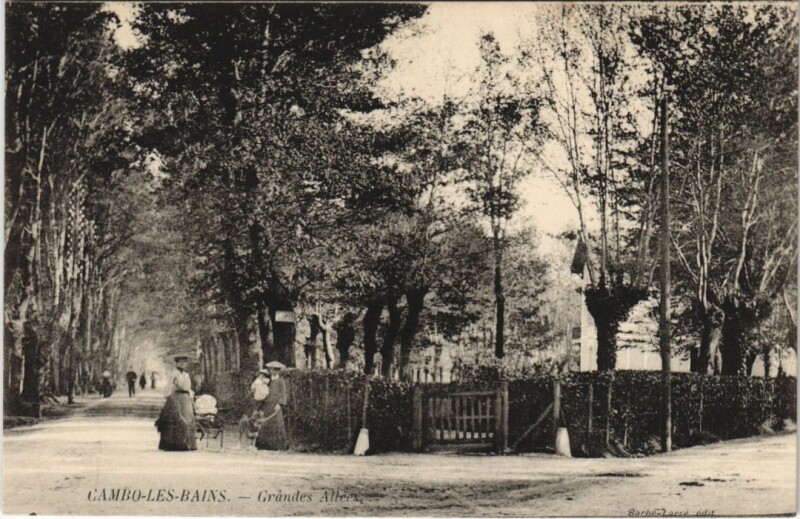 Carte postale ancienne Cambo les Bains Grandes Allees France à Cambo-les-Bains