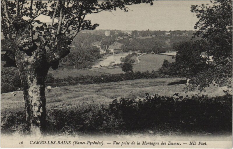 Carte postale ancienne Cambo les Bains Vue prise de la Montagne des Dames France à Cambo-les-Bains