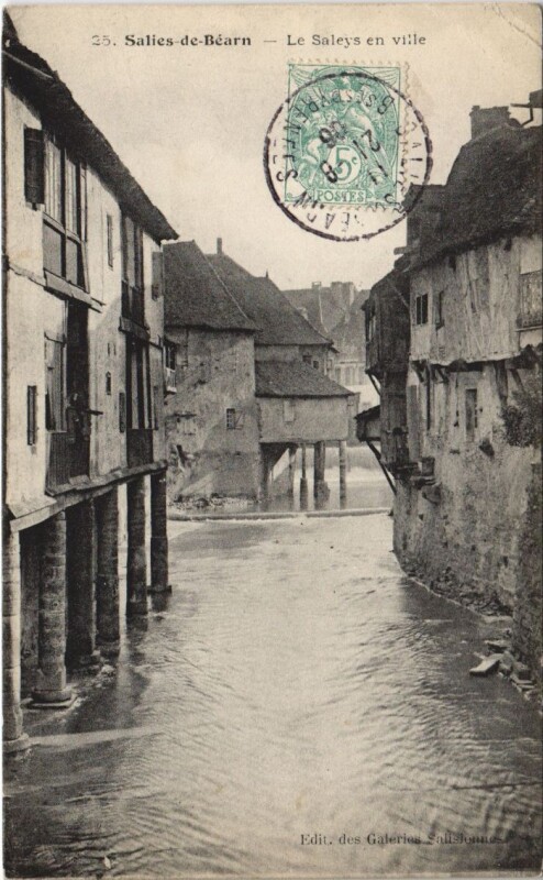 Carte postale ancienne Salies de Bearn Le Saleys en ville France