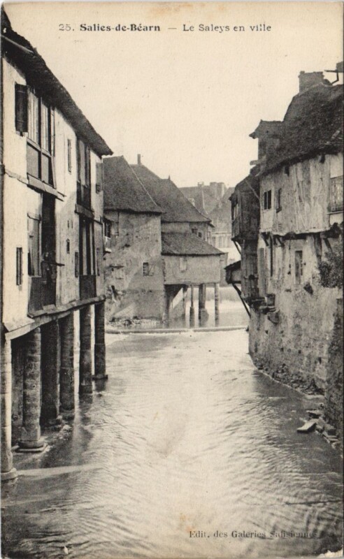 Carte postale ancienne Salies de Bearn Le Saleys en ville France