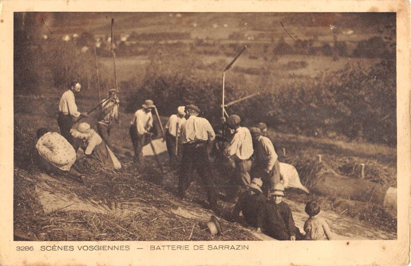 Carte postale ancienne Scenes Vosgiennes - Batterie De Sarrazin